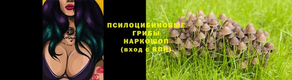 соль ск Верхнеуральск